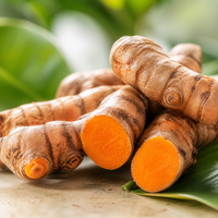 Curcuma